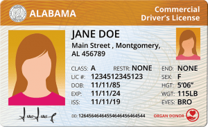Alabama Commercial Driver's License