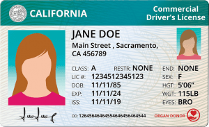 California Commercial Driver's License