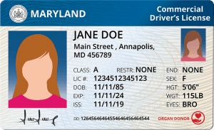 Maryland Commercial Driver's License