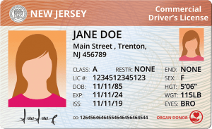 New Jersey Commercial Driver's License