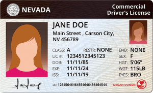 Nevada Commercial Driver's License