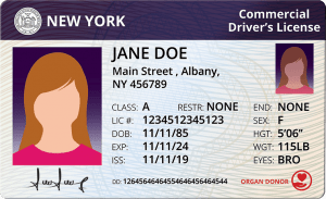 New York Commercial Driver's License