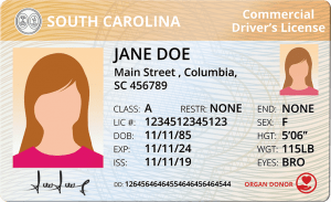 South Carolina Commercial Driver's License