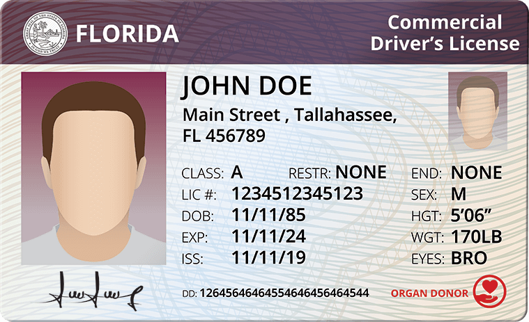 driver license number florida